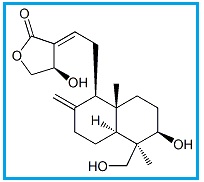 Andrographolide 14-Epimer